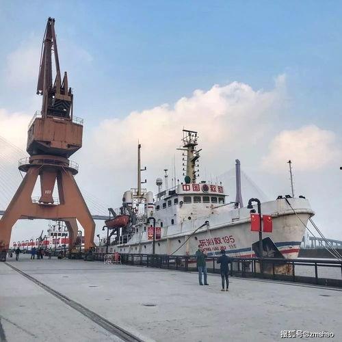 成人户外飞镖怎么玩视频,跟随视频轻松上手