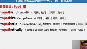 成人叠字教学视频教程,轻松掌握成人叠字教学视频教程核心技巧