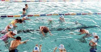 教成人游泳的视频大全,成人游泳视频大全攻略解析