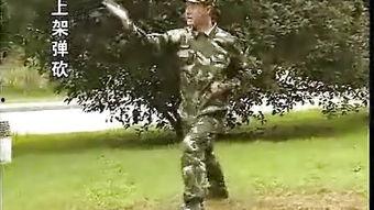 成人擒敌拳视频教学大全,实战技巧与动作解析