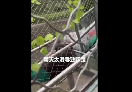 成人滑道事故视频播放,成人滑道事故视频回顾