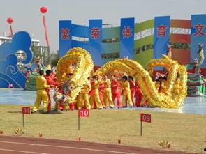 成人初学者舞龙视频,跟随视频教程,解锁成人舞龙入门秘诀