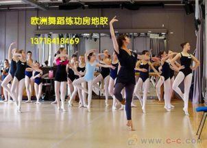 成人舞地板训练视频教学,轻松掌握舞蹈技巧