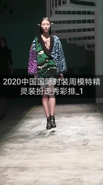 精灵走秀视频成人,走秀视频中的奇幻人生演绎