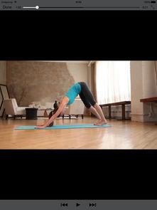 成人瑜伽免费课程视频,轻松入门，享受身心和谐之旅